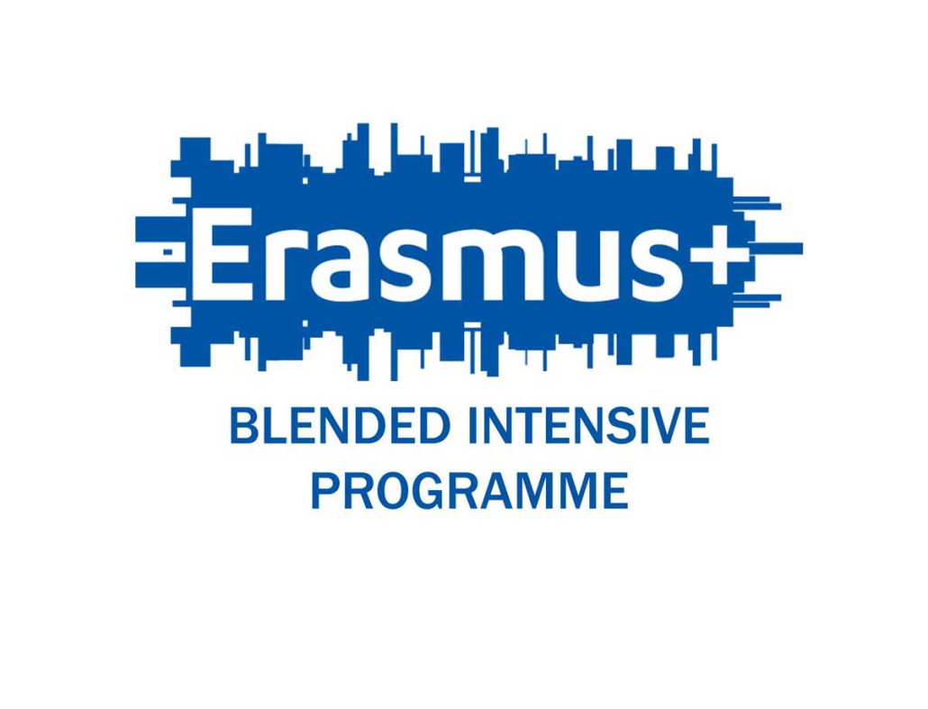 erasmus-bip333-1030×787-1